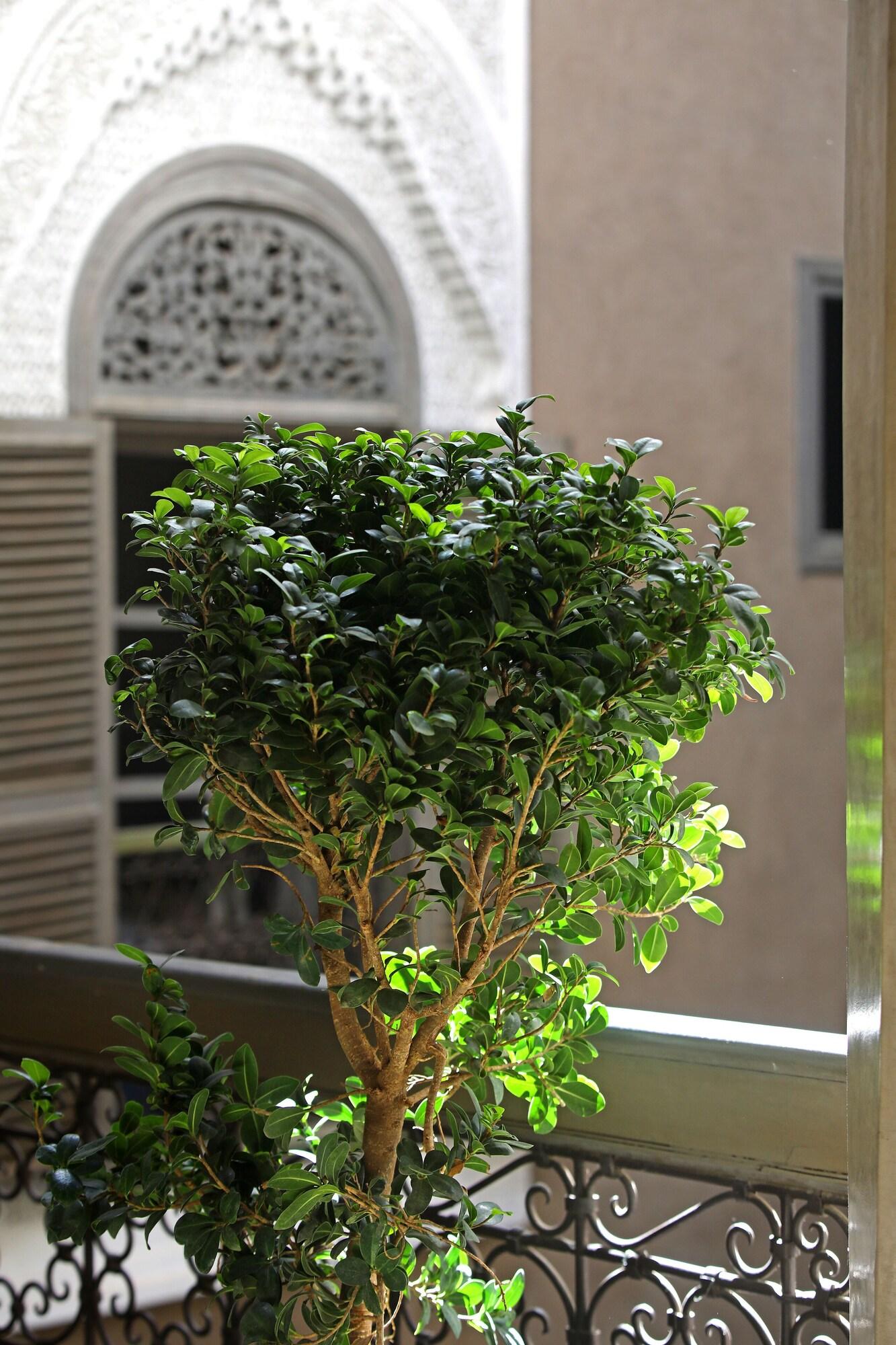 Dar One Guest house 3*