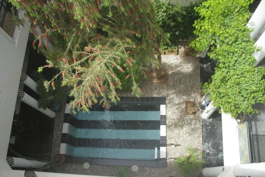 Riad Tchina