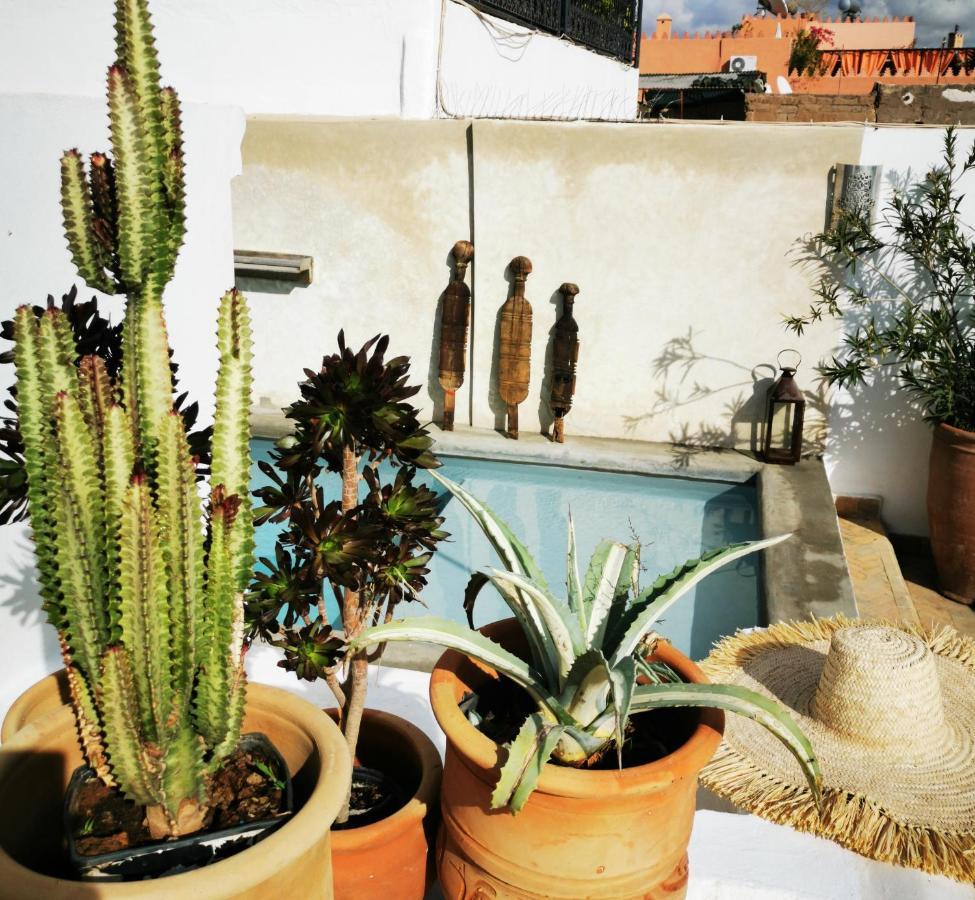 Bab Aylen - Piscine Roof Chauffee Marrakesh