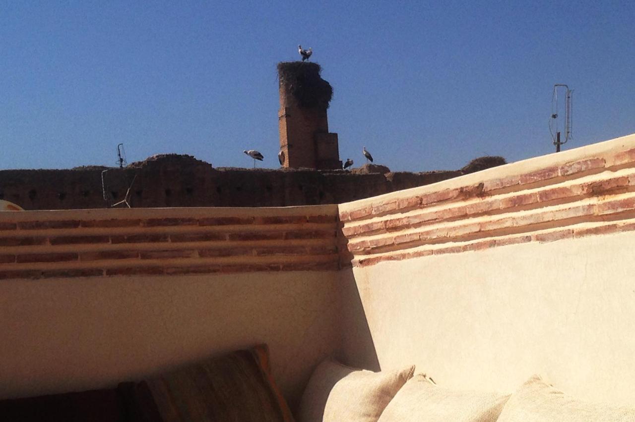 Riad Of The Storks - Exclusive Use For Up To 17 Persons