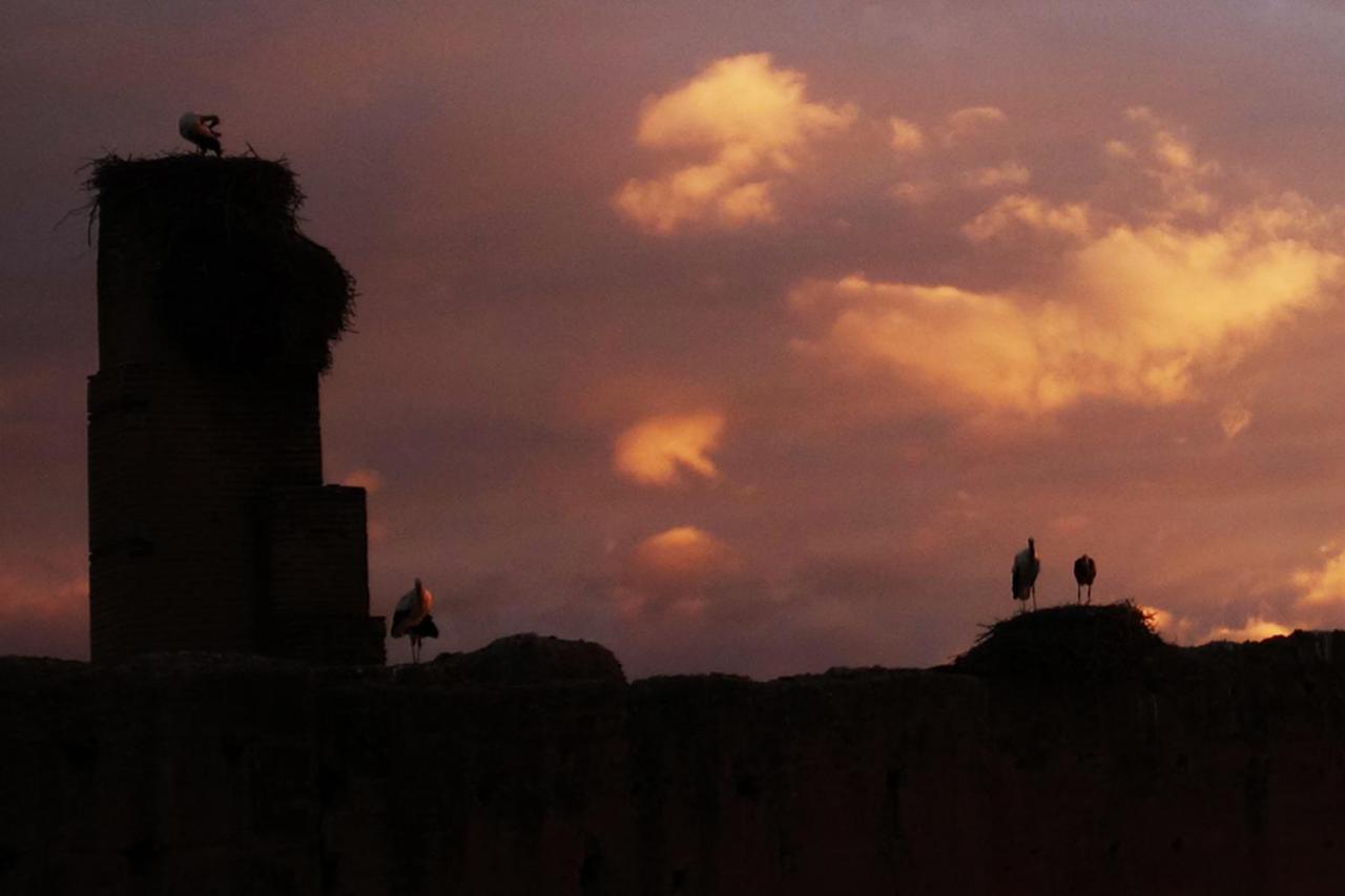 Of The Storks - Exclusive Use For Up To 17 Persons * Marrakesh