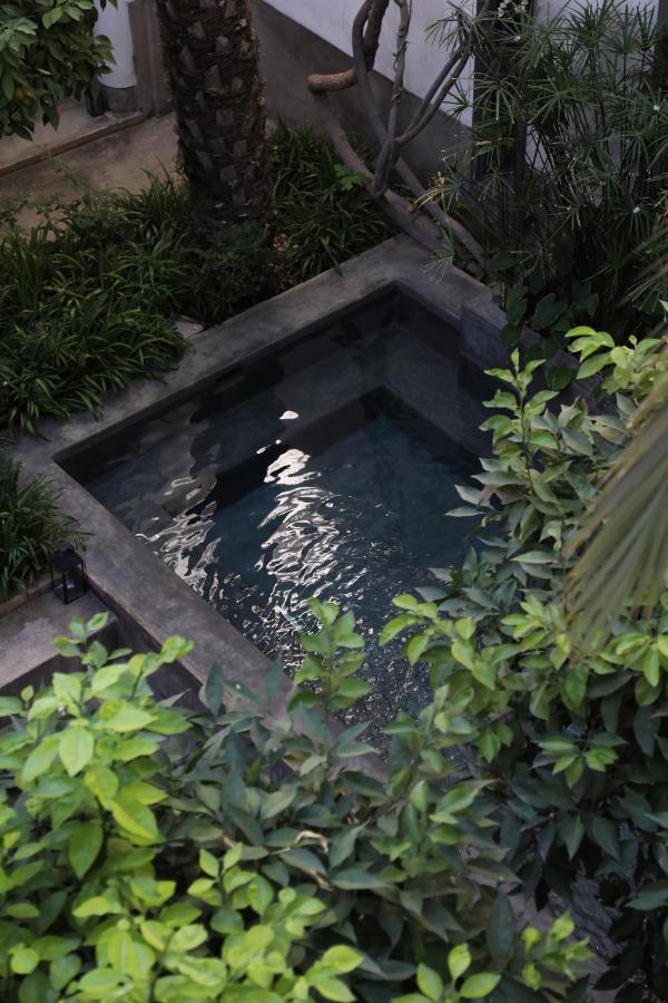 Riad Zaouia 44 Riad Marrakesh