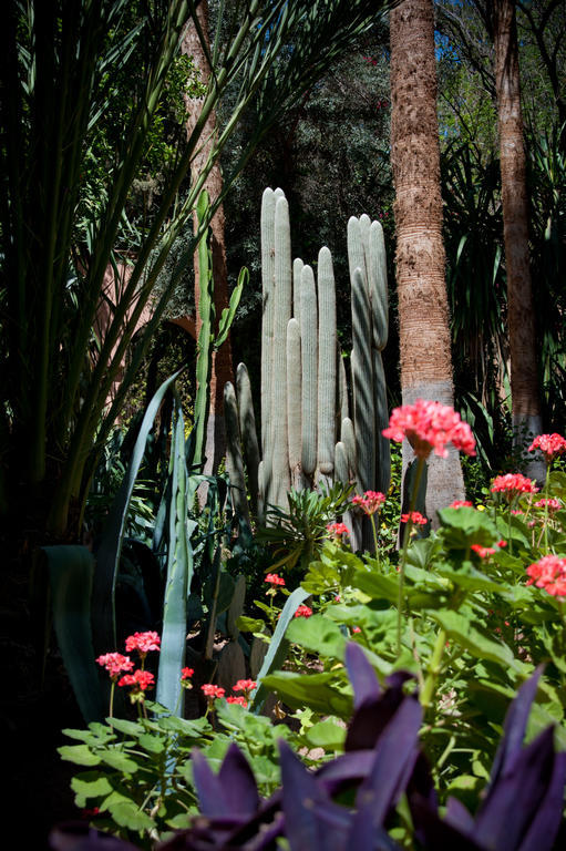Dar Ayniwen Garden Hotel&bird Zoo Marrakesh