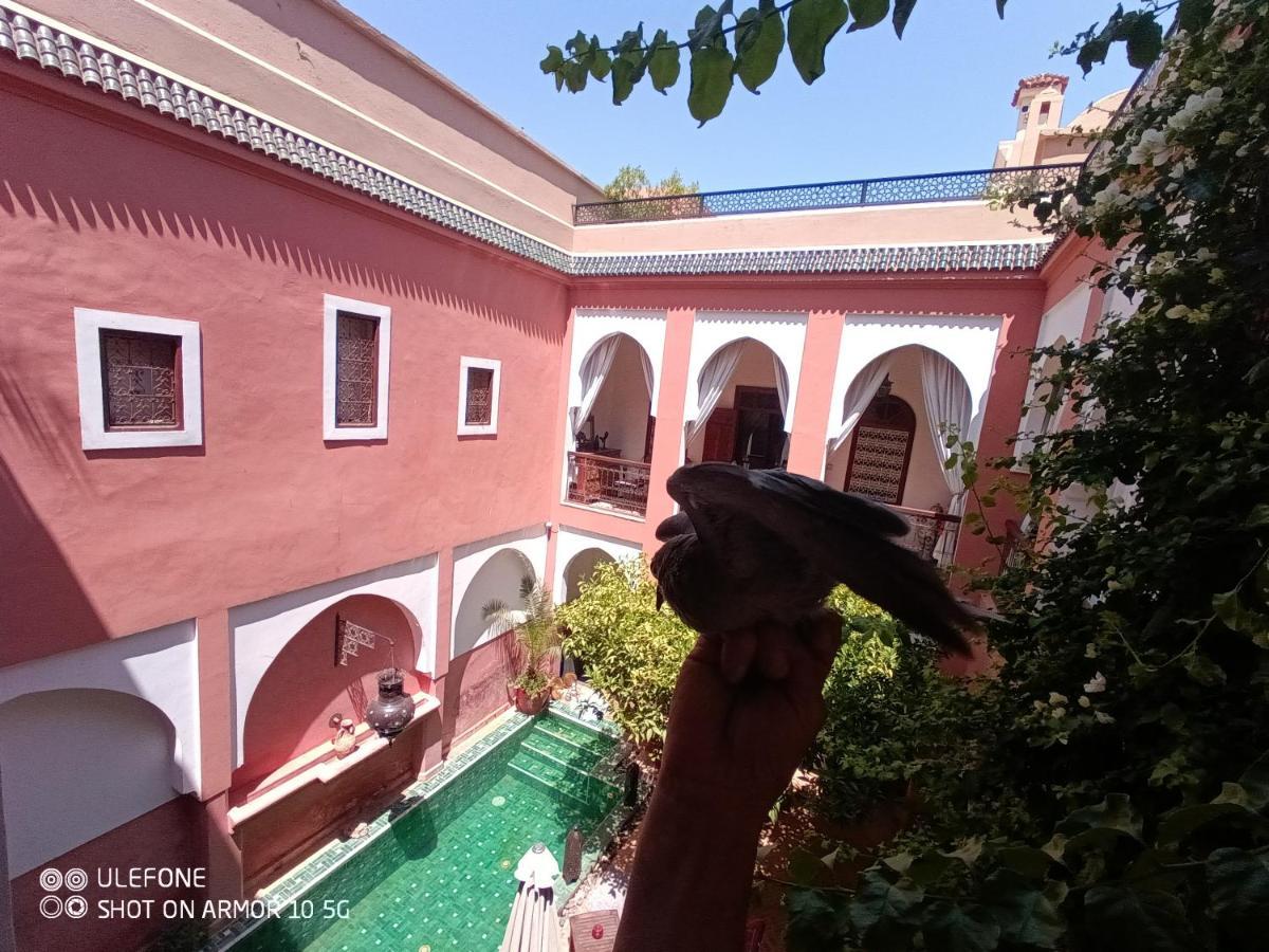 Zagouda Riad
