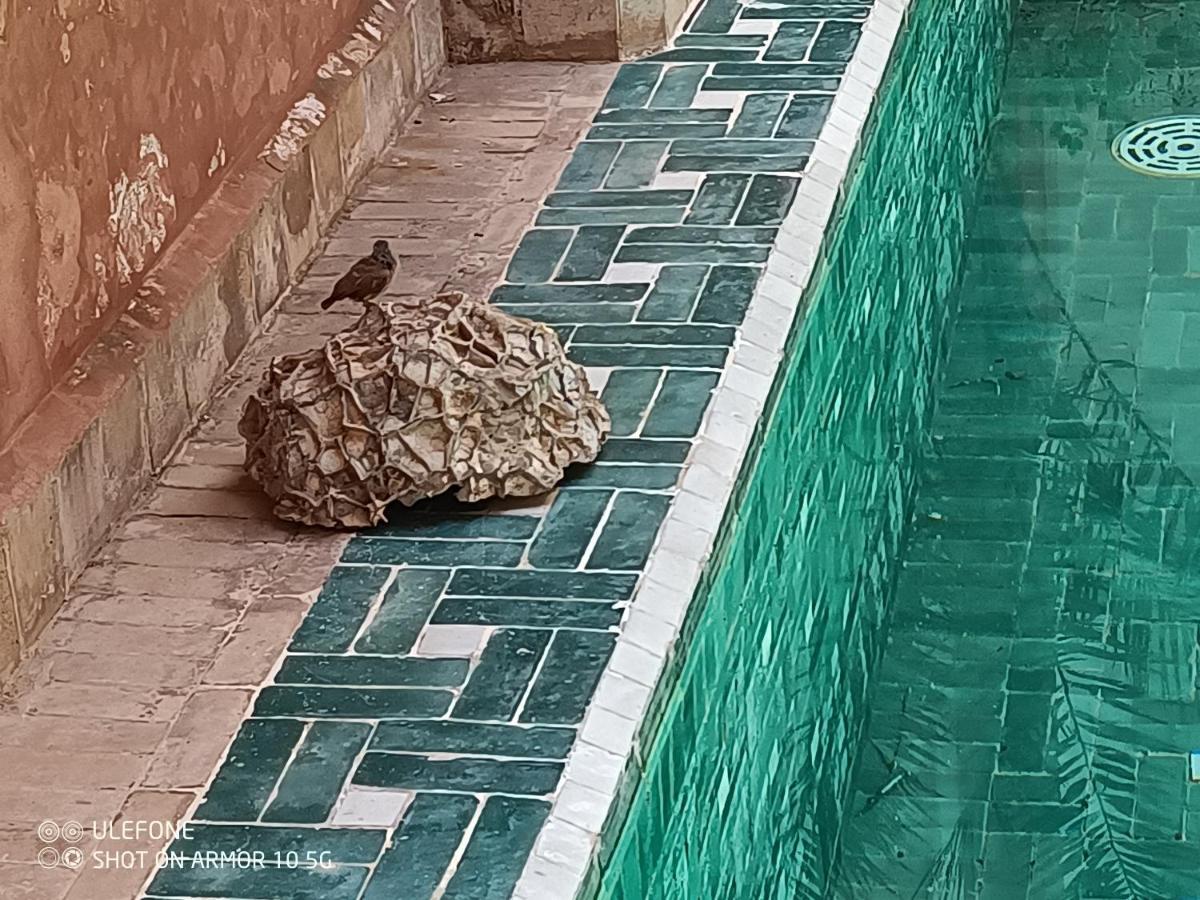 Zagouda Marrakesh