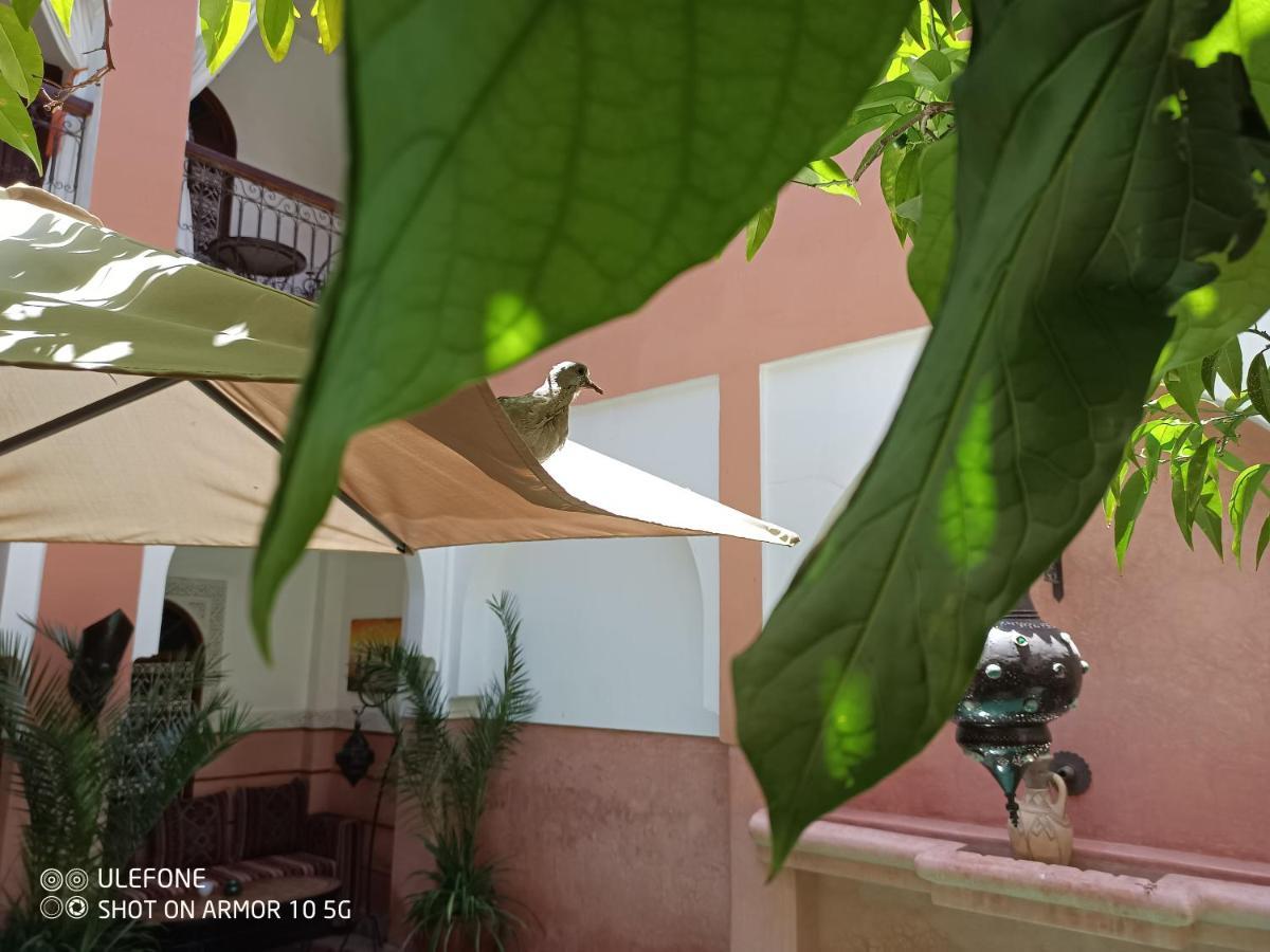 Zagouda 3* Marrakesh