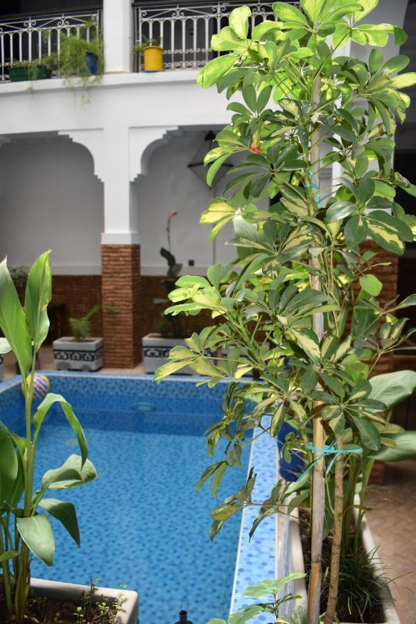 Dar Alamane Pensión Marrakesh