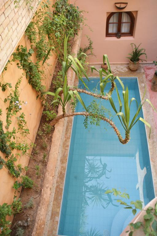 Azenzer Marrakesh