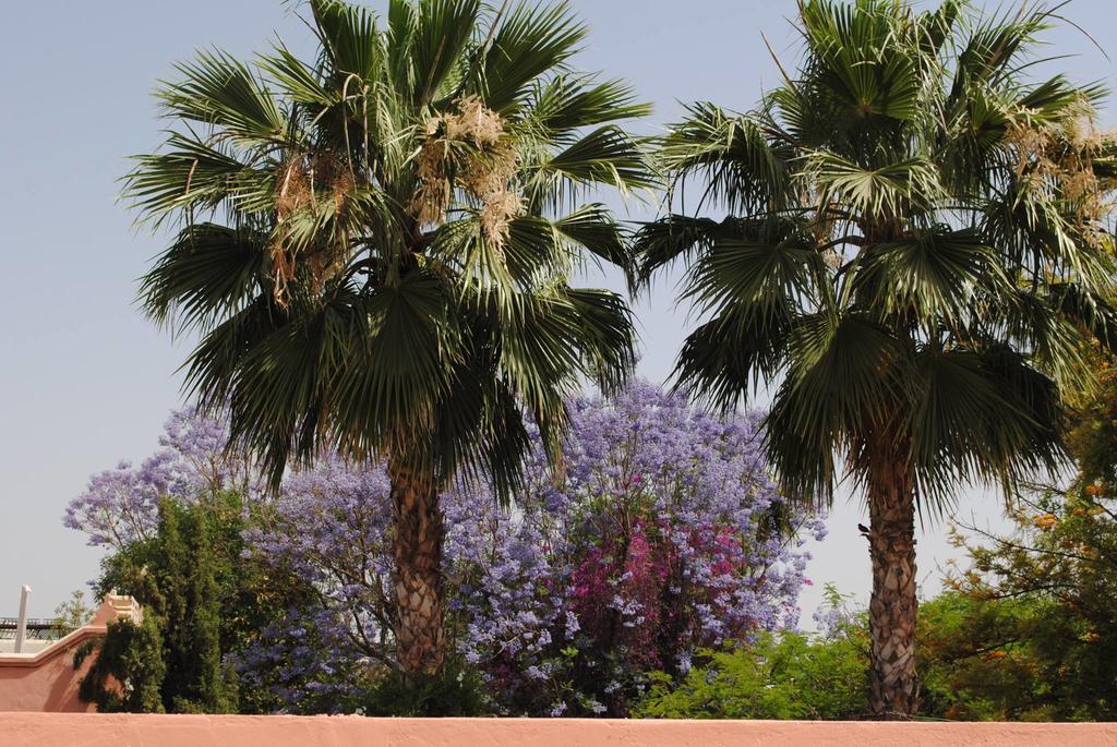 Dar Palmyra Riad Marrakesh