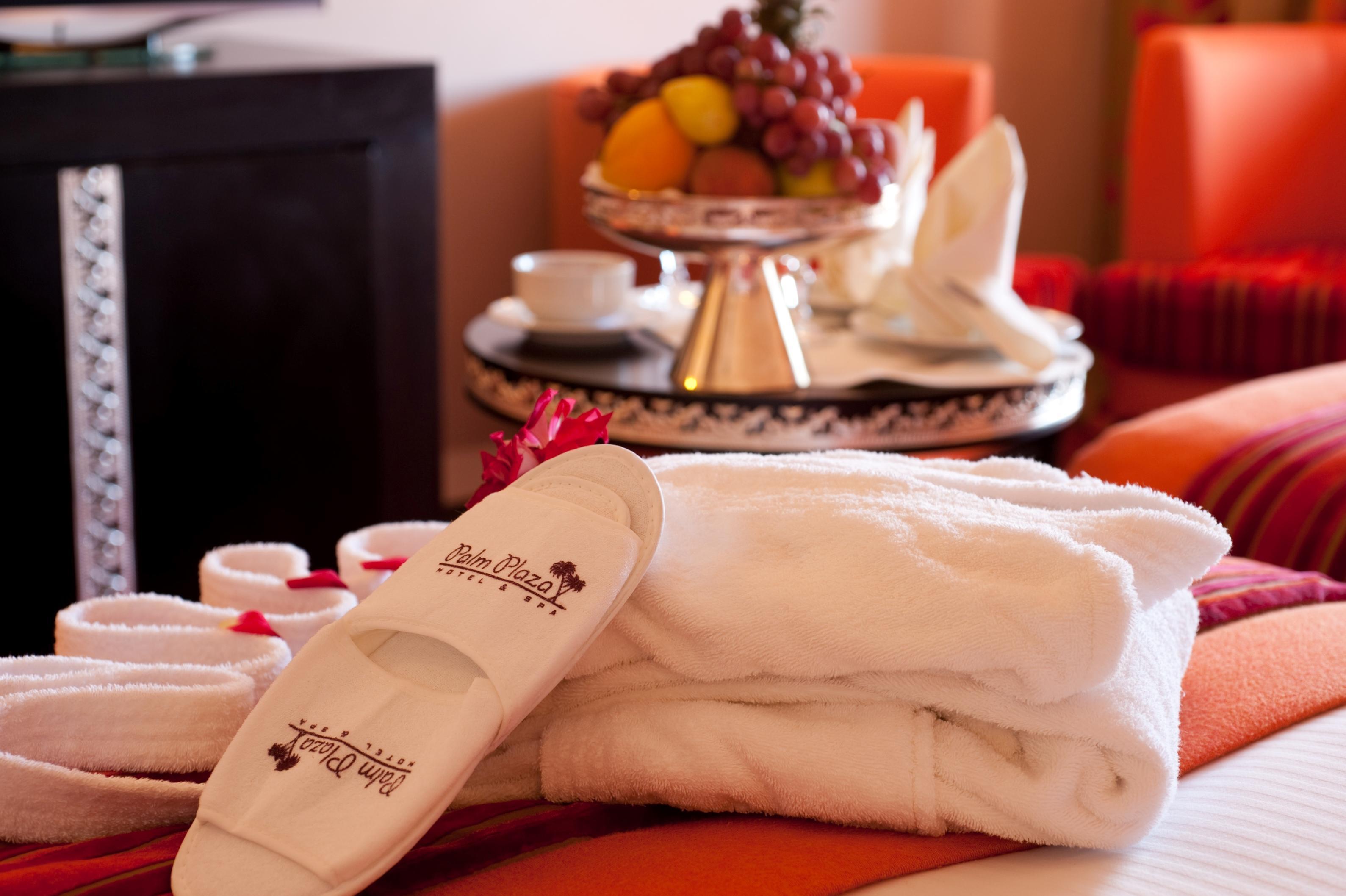 Hotel Palm Plaza Hôtel&spa