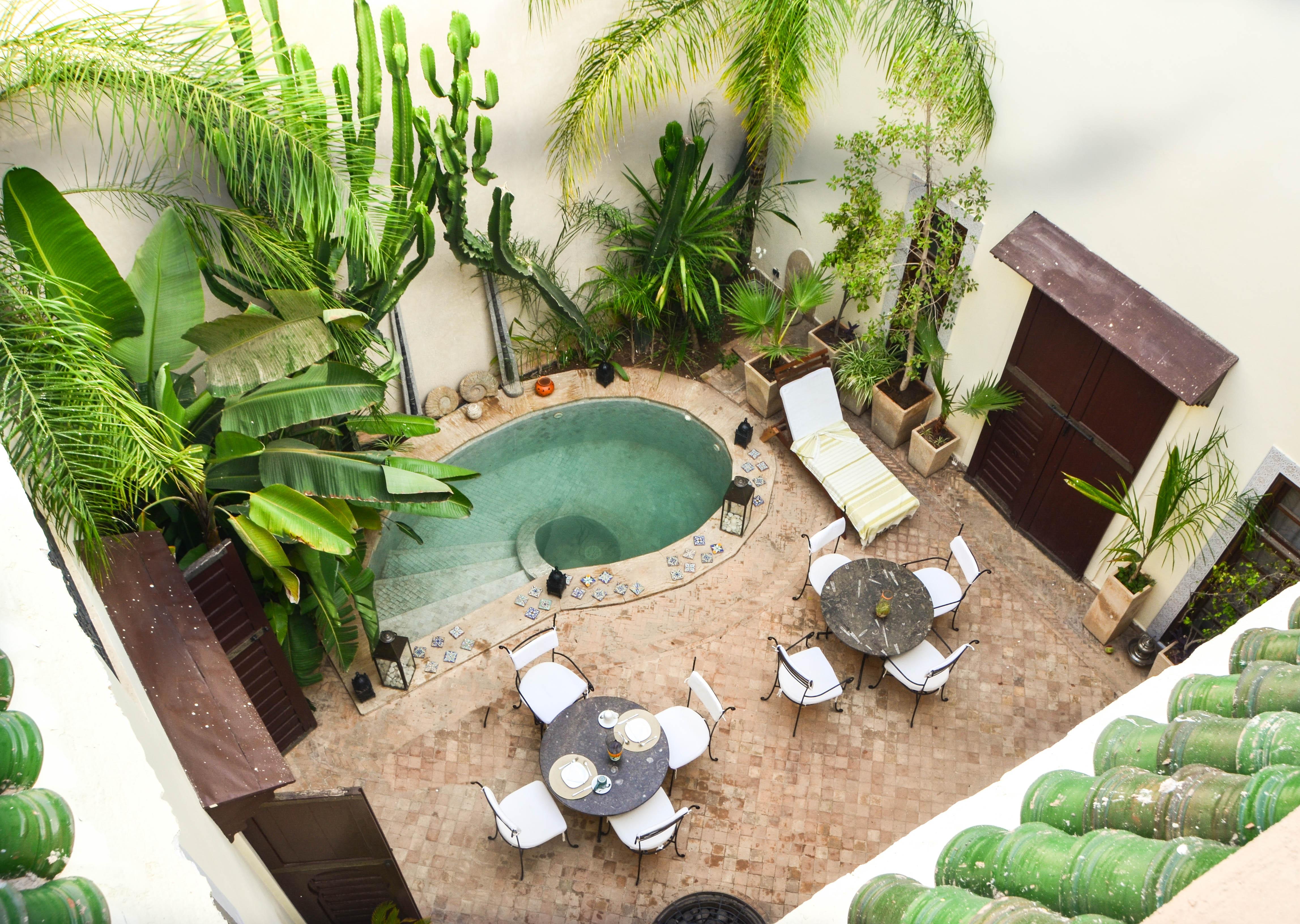 Les Ammonites And Riad