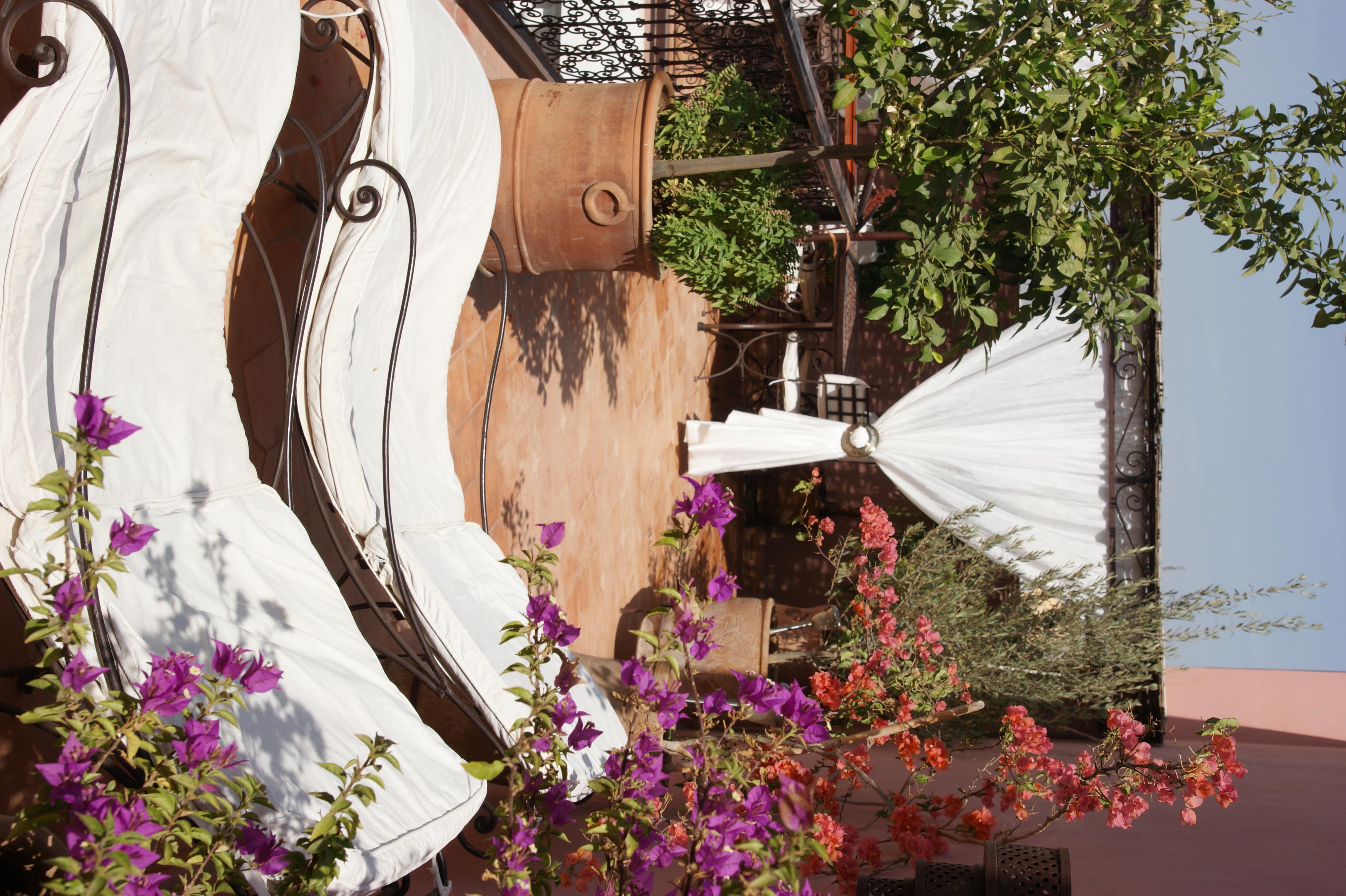Ailen Riad