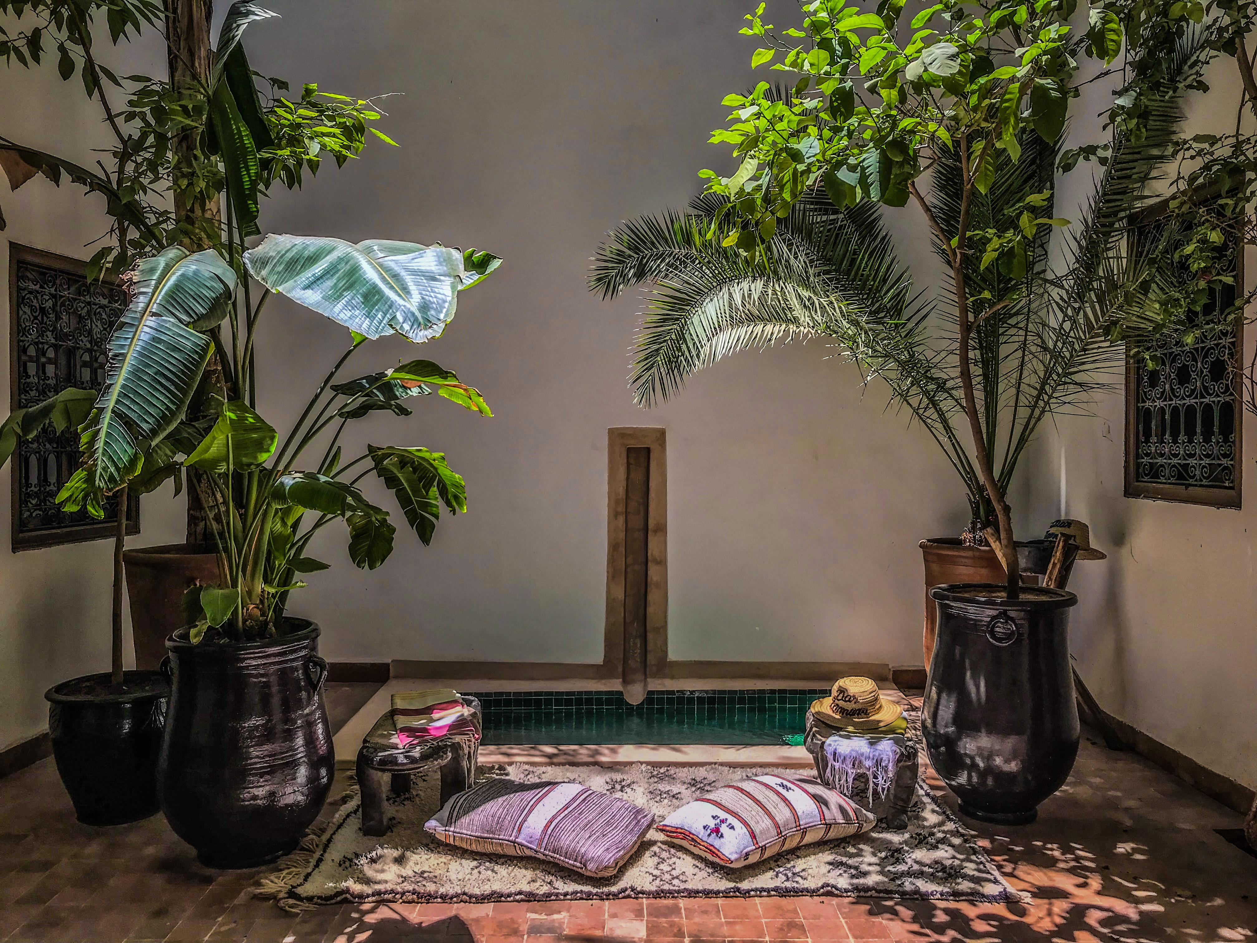 Riad Dar Zaman Riad