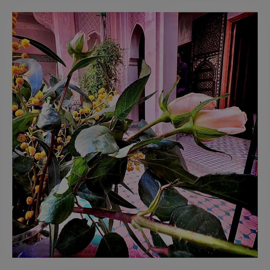 Palais Nejma Oriental Riad