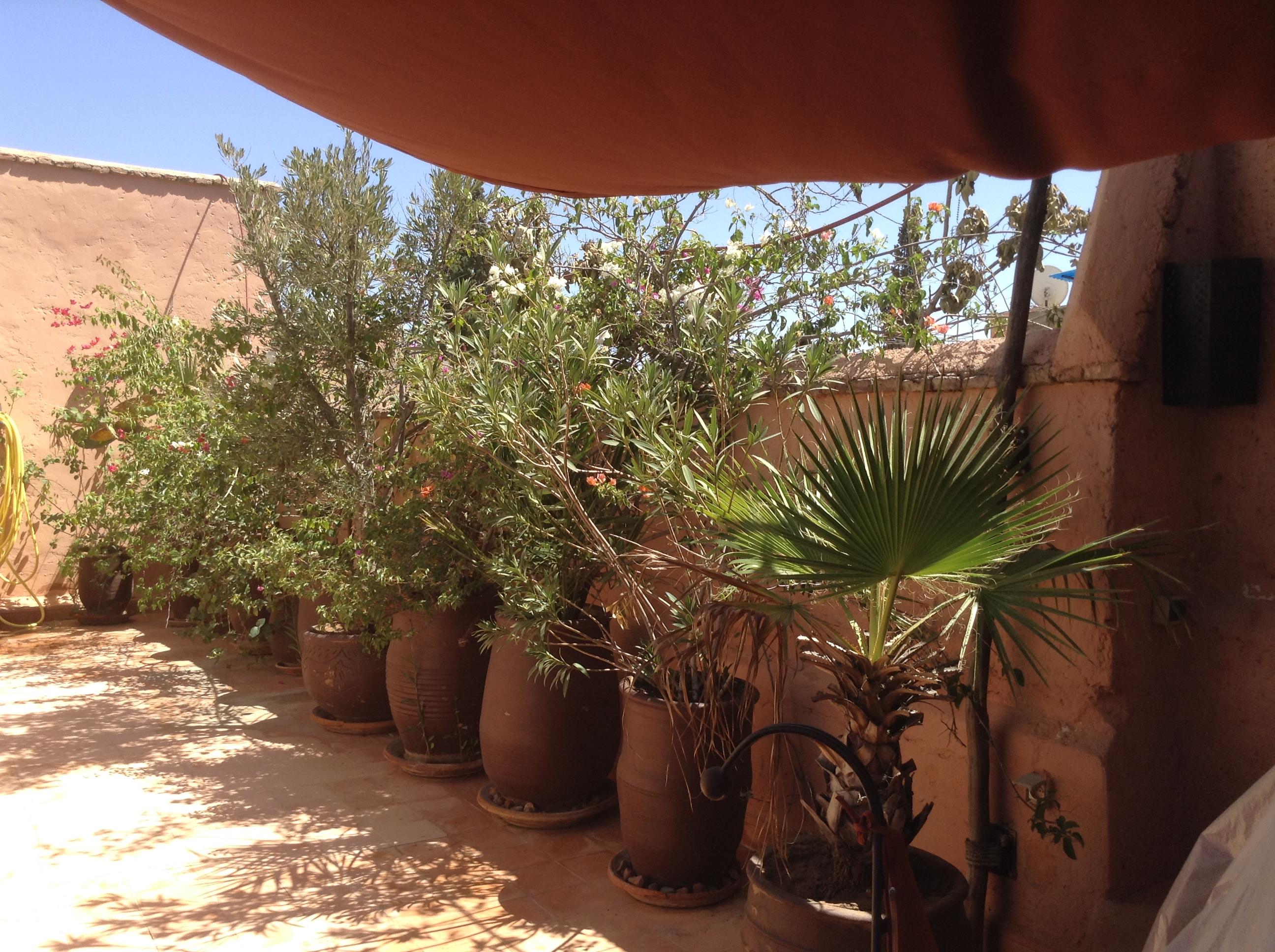Dar Zemrane Marrakesh