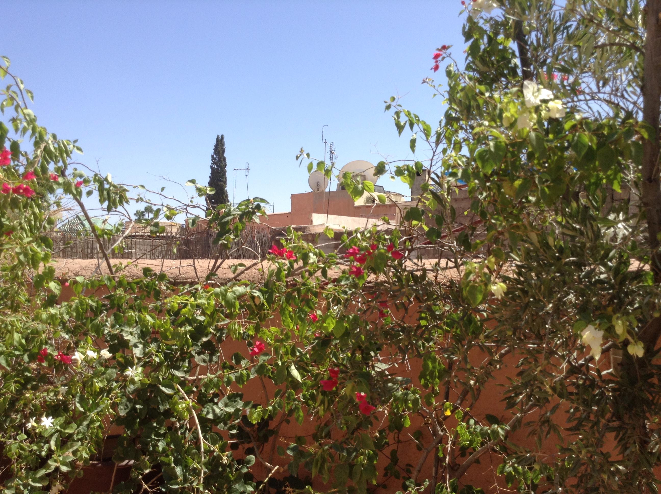 Riad Dar Zemrane
