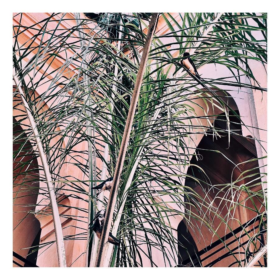 Palais Nejma Oriental Marrakesh