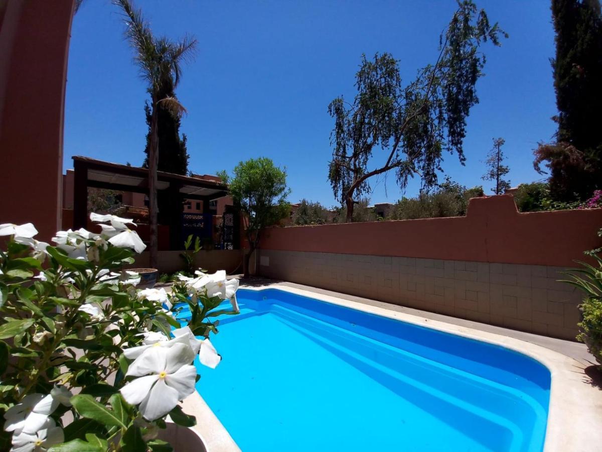 Cycas Targa Garden -only Family Marrakesch