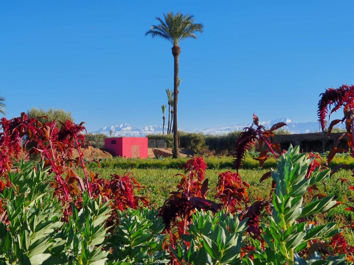 Bakkal Farm Agrolodge Marrakesh