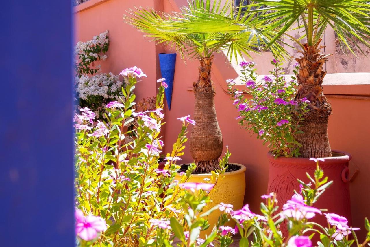 Kamal Medina Riad Marrakesch