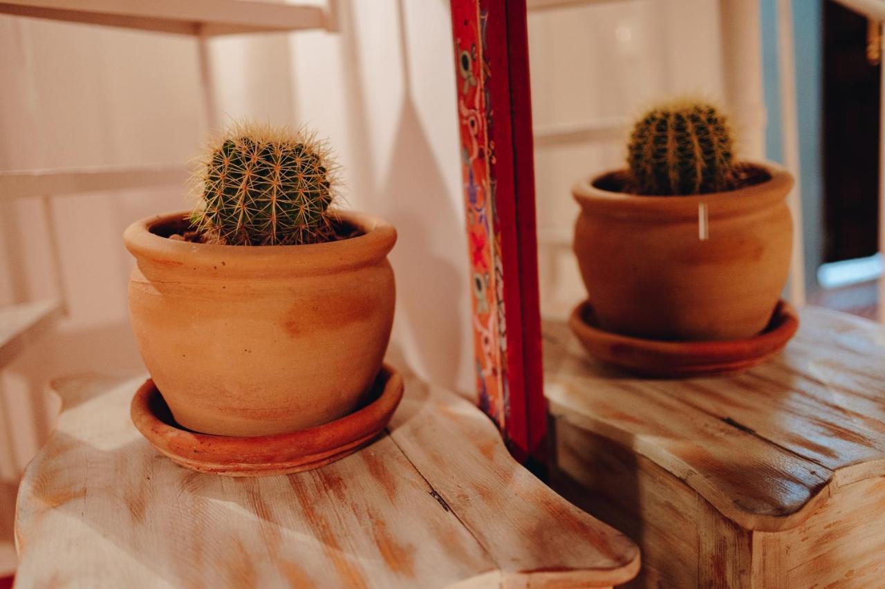 Chebakia Séjour chez l'habitant Marrakesh