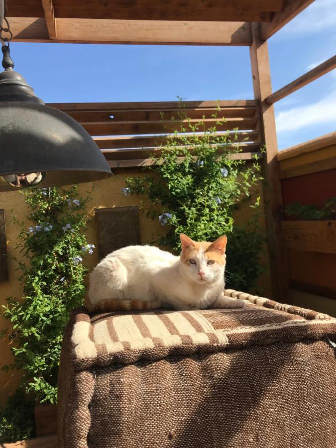 Al Ibtikar Frühstückspension Marrakesch