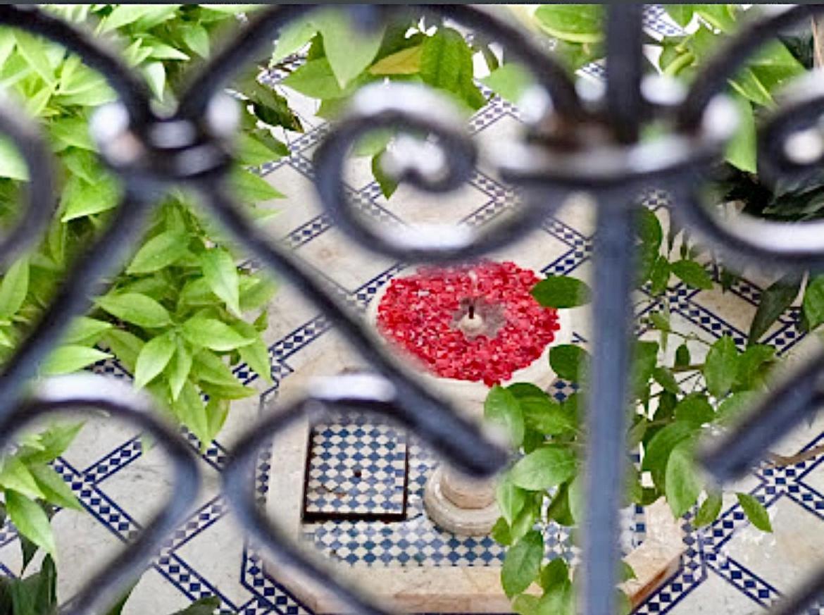 Zouhour Pensión Marrakesh