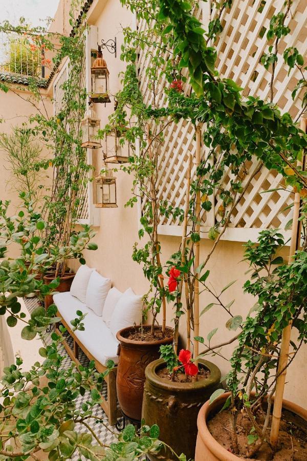Riad Maison 24 Marrakesh