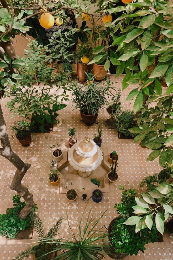 Riad Maison 24 Marrakesh