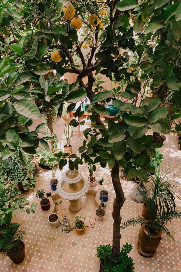 Riad Maison 24