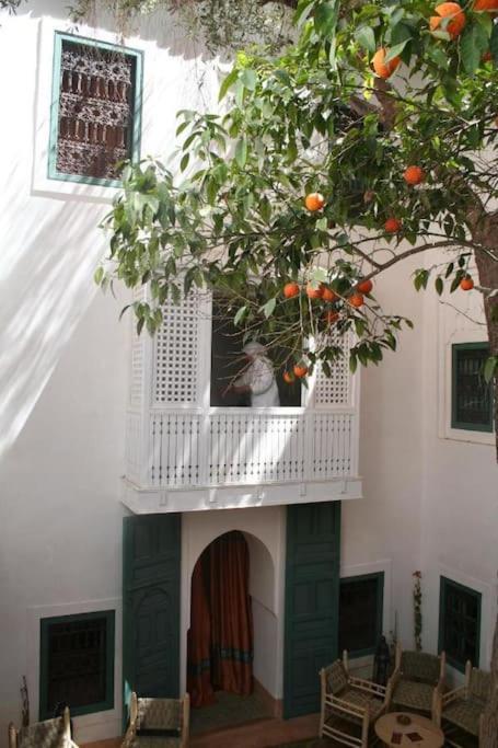 Dar Zitouna - Entire House In Exclusivity Vakantiehuis