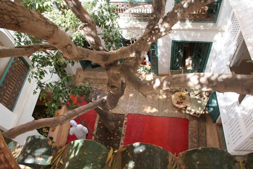 Dar Zitouna - Entire House In Exclusivity Vakantiehuis