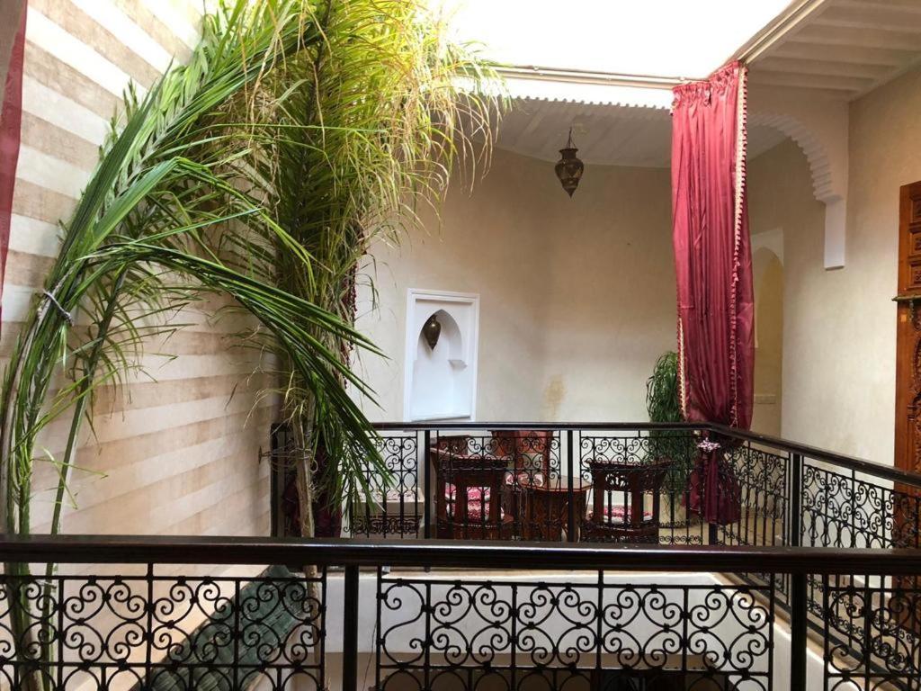 Rose Eternelle Marrakesh