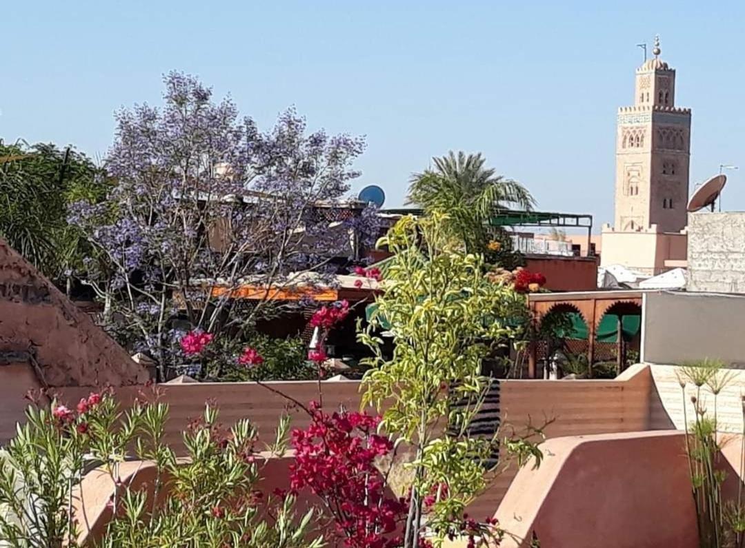 Aloes & (adults Only) 4*