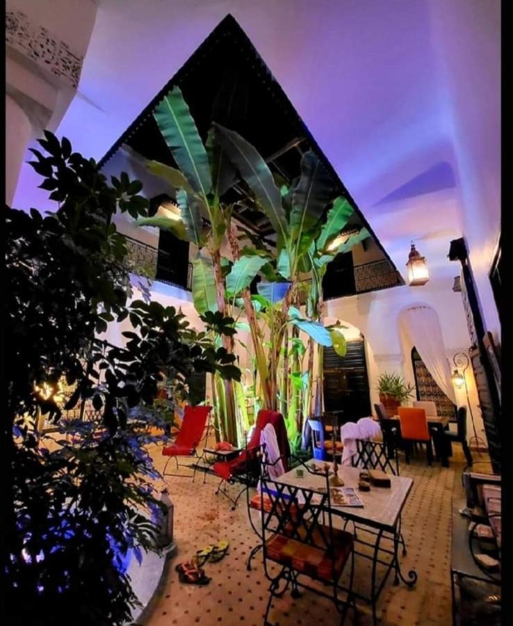 Aloes & (adults Only) Marrakesh