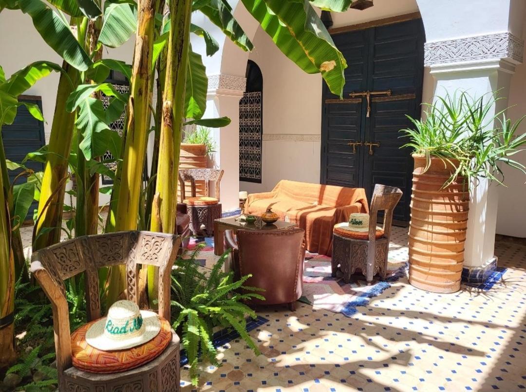Aloes & (adults Only) 4*