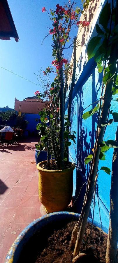Riad Mamma House Bed & Breakfast Marrakesh