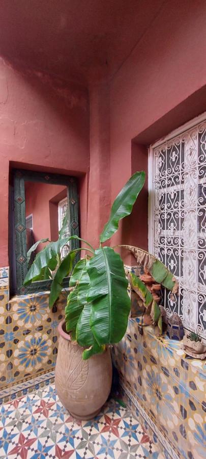 Kainos Riad *