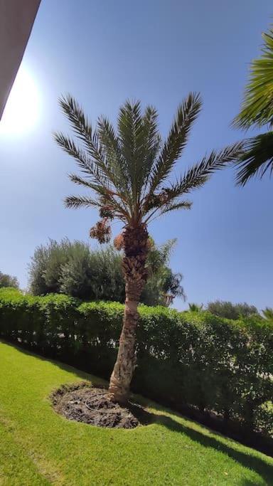 Eco Mandarin Marrakesh