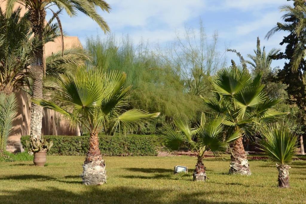 Authentic Family House In The Palm Grove * Marrakesh