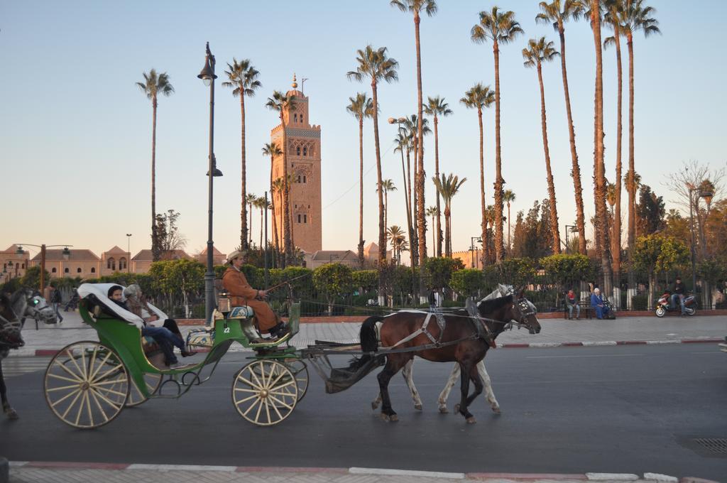 Elias Marrakech