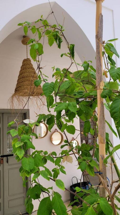 Riad Nohad Marrakech *