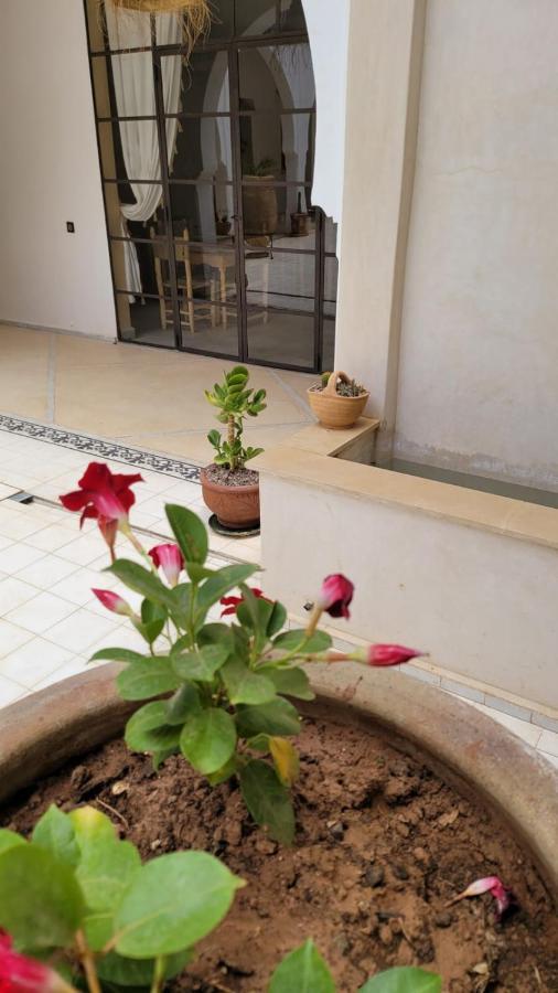 Nohad Marrakech Riad