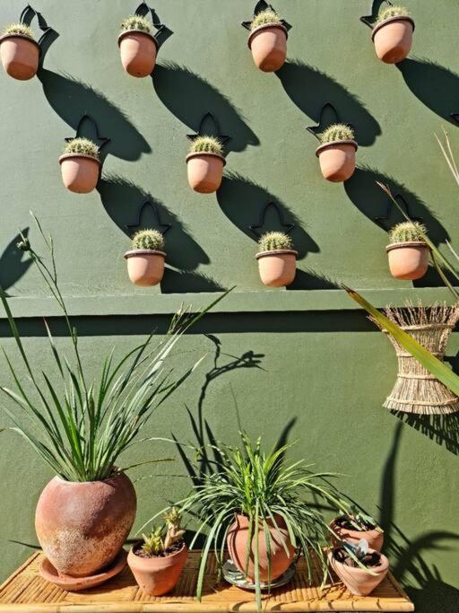 Riad Olive Privatif 4 Personnes Marrakesh