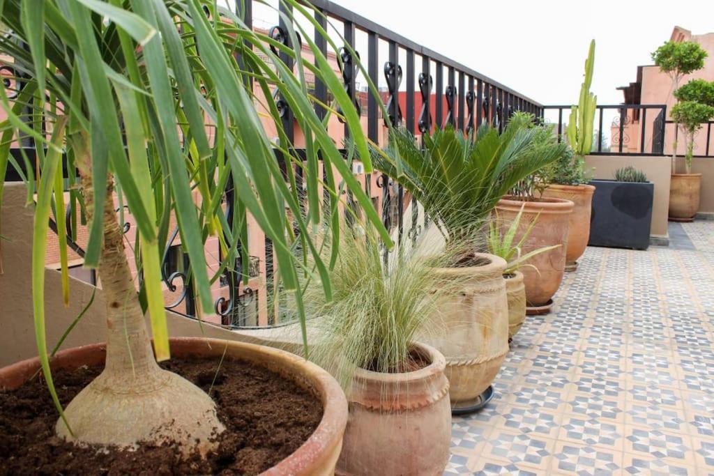 Apartamento Dar Nouonsa