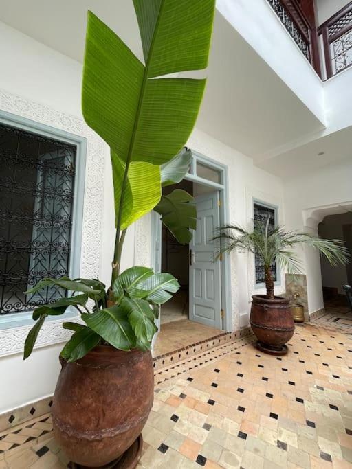 Vivre - Design Boutique In Marrakech