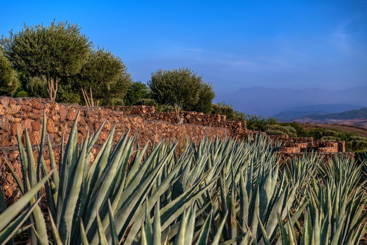 Le Palais Paysan Bed & Breakfast 4*