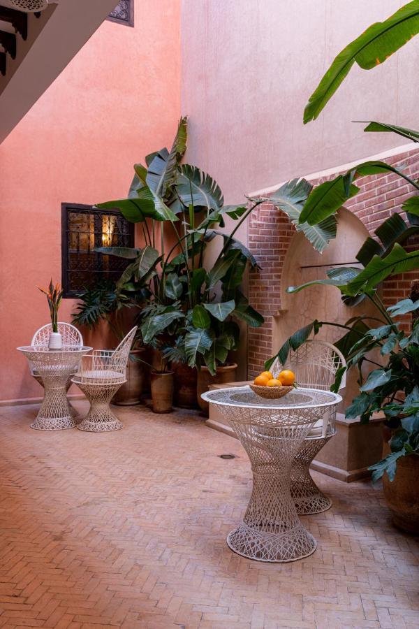 L'oiseau Du Paradis Marrakesh
