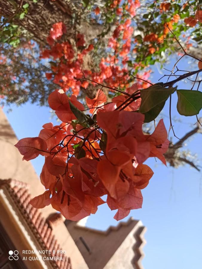 Gasthof Casa Del Senator Ourika Marrakesch