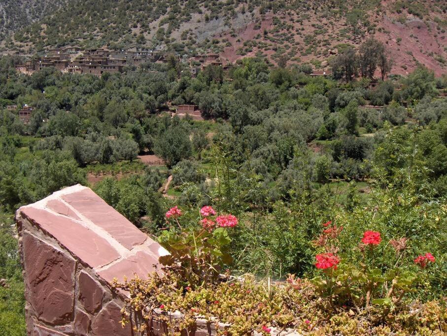 Romancia Ourika Vallee Marrakesh